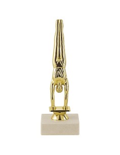 Trophée sujet abs or gym masculin | Récompense de Qualité | SJ036-MSJ