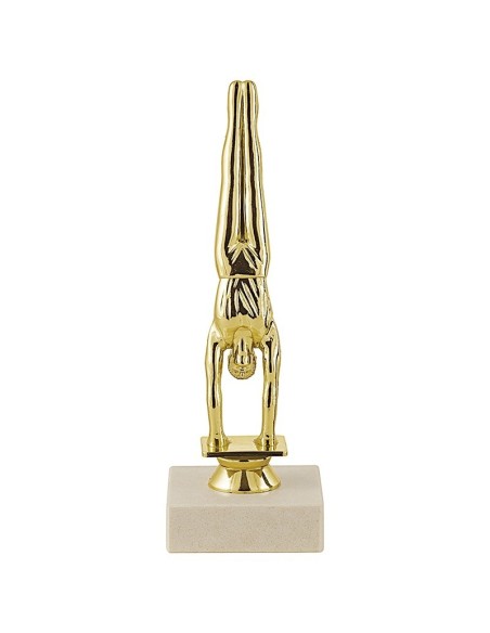 Trophée sujet abs or gym masculin | Récompense de Qualité | SJ036-MSJ