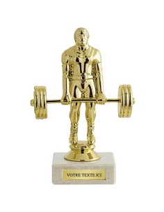 Trophée sujet abs or halterophilie | Récompense de Qualité | SJ037-MSJ