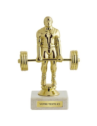 Trophée sujet abs or halterophilie | Récompense de Qualité | SJ037-MSJ