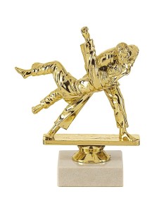 Trophée sujet abs or judo | Récompense de Qualité | SJ041-MSJ