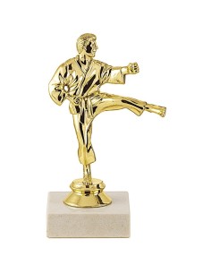 Trophée sujet abs or karate | Récompense de Qualité | SJ042-MSJ