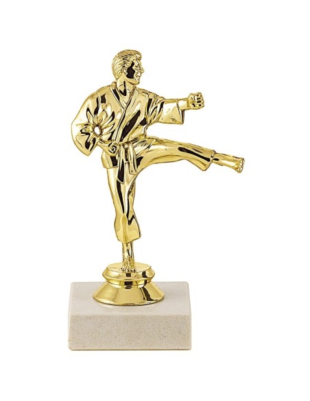 Trophée sujet abs or karate | Récompense de Qualité | SJ042-MSJ