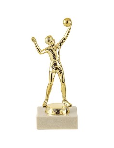 Trophée sujet abs or volley | Récompense de Qualité | SJ071-MSJ