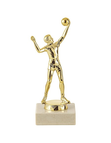 Trophée sujet abs or volley | Récompense de Qualité | SJ071-MSJ