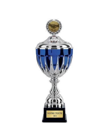 Achetez La Récompense Parfaite : Coupe Avec Couvercle Argent / Bleu - Cp4286bv
