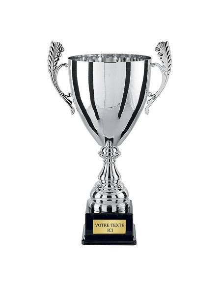 Coupe argent | Récompense de Qualité | CP4289A