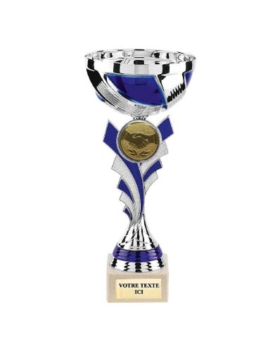 Achetez La Récompense Parfaite : Coupe Argent/Bleu - Cp4244c