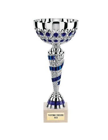 Achetez La Récompense Parfaite : Coupe Argent/Bleu - Cp4260a