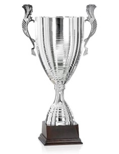 370 mm Argent Homme/garçons Football Trophée Sport Award-Gravure Gratuite 