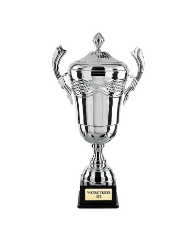 Achetez La Récompense Parfaite : Coupe Argent Avec Couvercle 100% Métal - Cp4314av