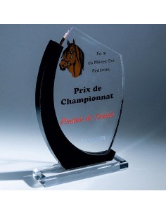 Trophée en Plexi | Design Moderne | PL031B