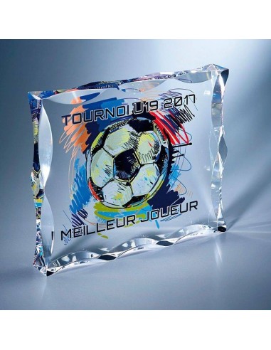 Trophée plexi épaisseur 25mm hauteur 15x12cm 