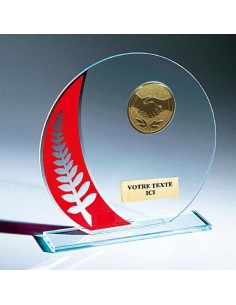 Trophée en Verre | Élégance et Distinction | TV4025A