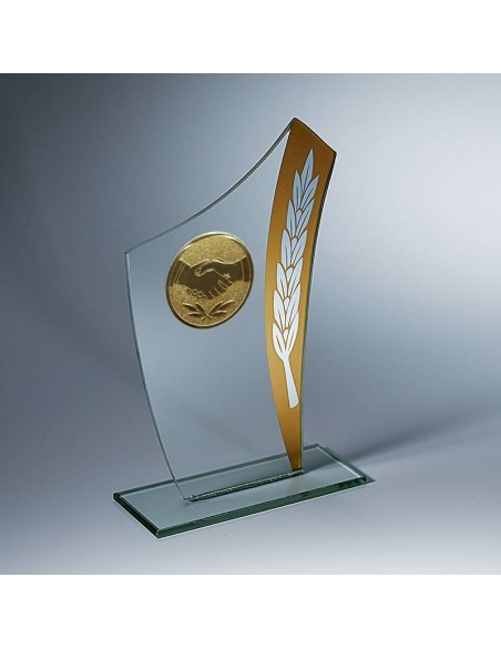 Trophée en Verre | Élégance et Distinction | TV4029B