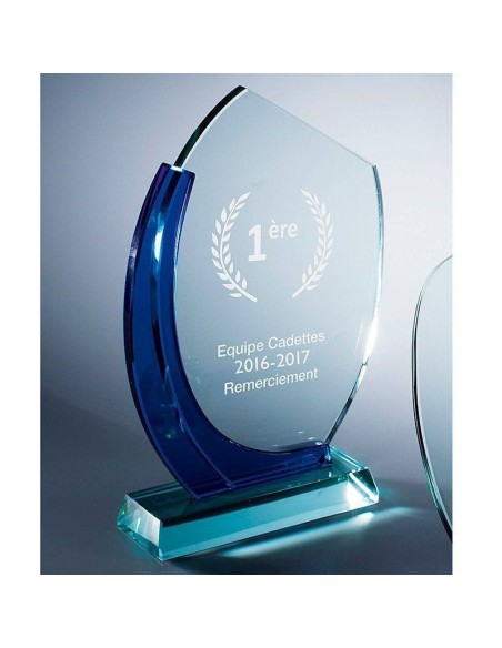 Trophée en Verre | Élégance et Distinction | TV4036B