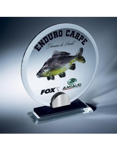 Trophée en Verre | Élégance et Distinction | TV4038A