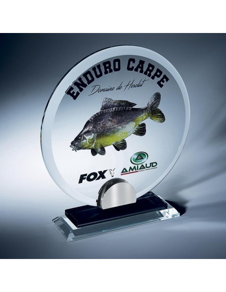 Trophée en Verre | Élégance et Distinction | TV4038A