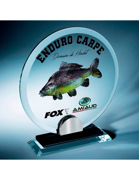 Trophée en Verre | Élégance et Distinction | TV4038C