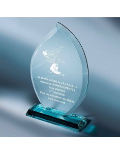 Trophée en Verre | Élégance et Distinction | TV4039B