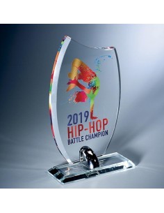 Trophée en Verre | Élégance et Distinction | TV4041A