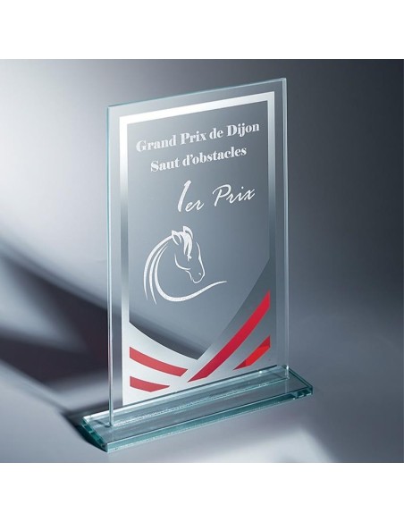 Trophée en Verre | Élégance et Distinction | TV4046B