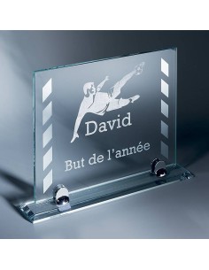 Trophée en Verre | Élégance et Distinction | TV4050B