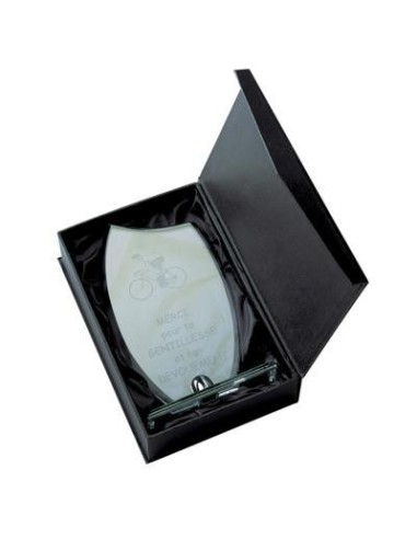 Trophée en Verre | Élégance et Distinction | TV4041A