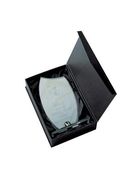 Trophée en Verre | Élégance et Distinction | TV4041A