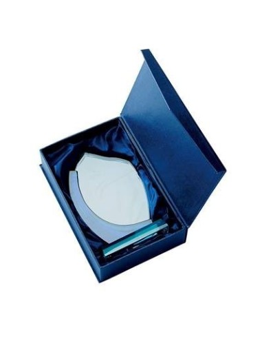 Trophée en Verre | Élégance et Distinction | TV4036C