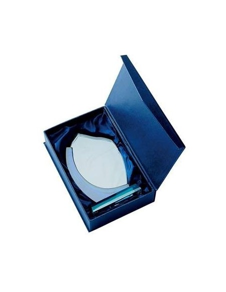 Trophée en Verre | Élégance et Distinction | TV4036C