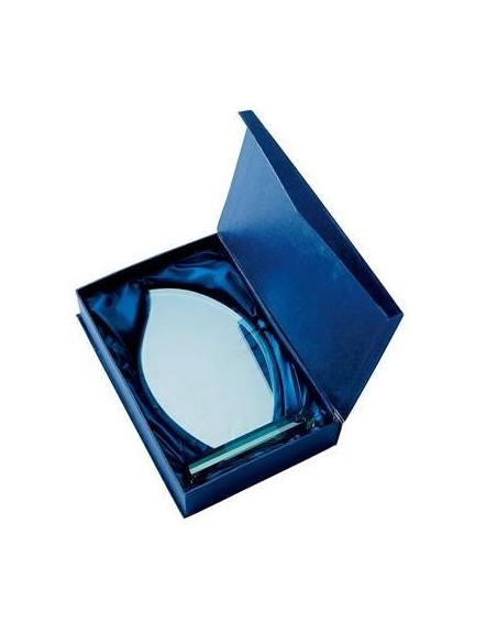 Trophée en Verre | Élégance et Distinction | TV4039A