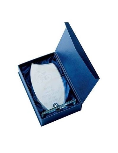 Trophée en Verre | Élégance et Distinction | TV4041C