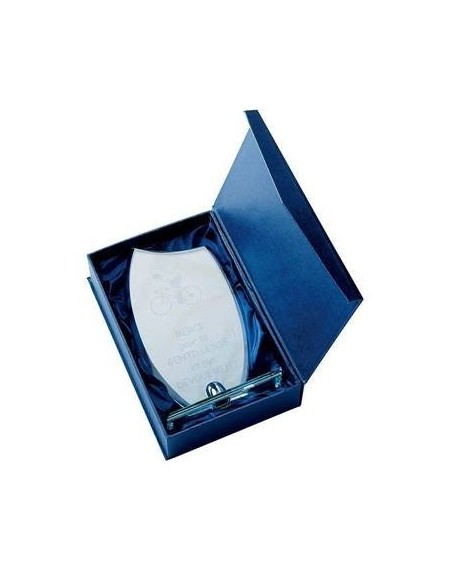 Trophée en Verre | Élégance et Distinction | TV4041C