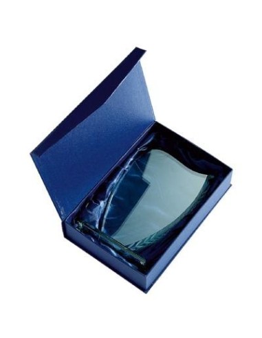 Trophée en Verre | Élégance et Distinction | TV4037B