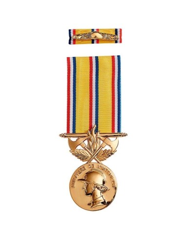 Médaille d'ancienneté des Sapeurs Pompiers 40 ans en zamac doré. Barrette dixmude en option.