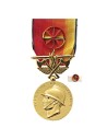 Médaille Or Pompiers Services Exceptionnel