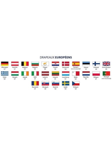 Achetez La Récompense Parfaite : Drapeau Union Européenne L2 - Uedl24060