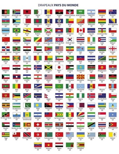 Achetez La Récompense Parfaite : Drapeau Monde L2 - Mondl24060