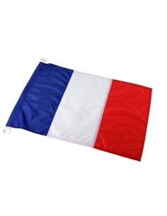 Achetez La Récompense Parfaite : Pavillon France Impression - Fpi6090