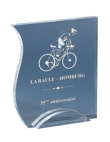 Acryglass épaisseur 10mm  - hauteur : 19cm. Attention trophée de couleur transparent