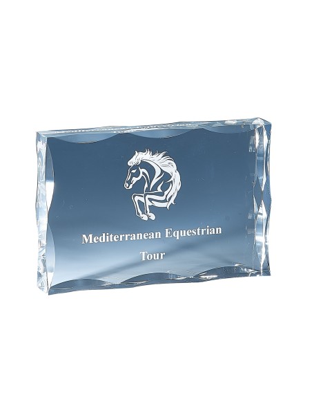 Trophée en Plexi | Design Moderne | FSP-177-01 