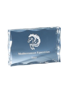 Trophée en Plexi | Design Moderne | FSP-177-02 
