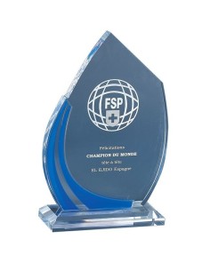 Trophée en Plexi | Design Moderne | FSP-179-41 