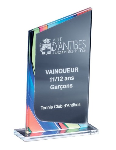 Acryglass épaisseur 5mm  - hauteur : 15cm. Attention trophée de couleur transparent
