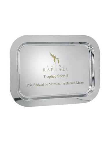 Achetez La Récompense Parfaite : Trophée Plateau Métal - Fsp-185-02
