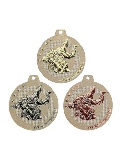 MEDAILLE 50MM JUDO Or 3 couleurs FSP-NQ09