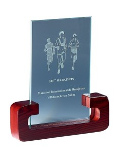 Trophée en Verre | Élégance et Distinction | FSP-164-41 