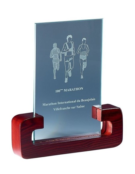 Trophée en Verre | Élégance et Distinction | FSP-164-41 