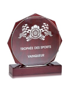 Trophée en Verre | Élégance et Distinction | FSP-163-71 